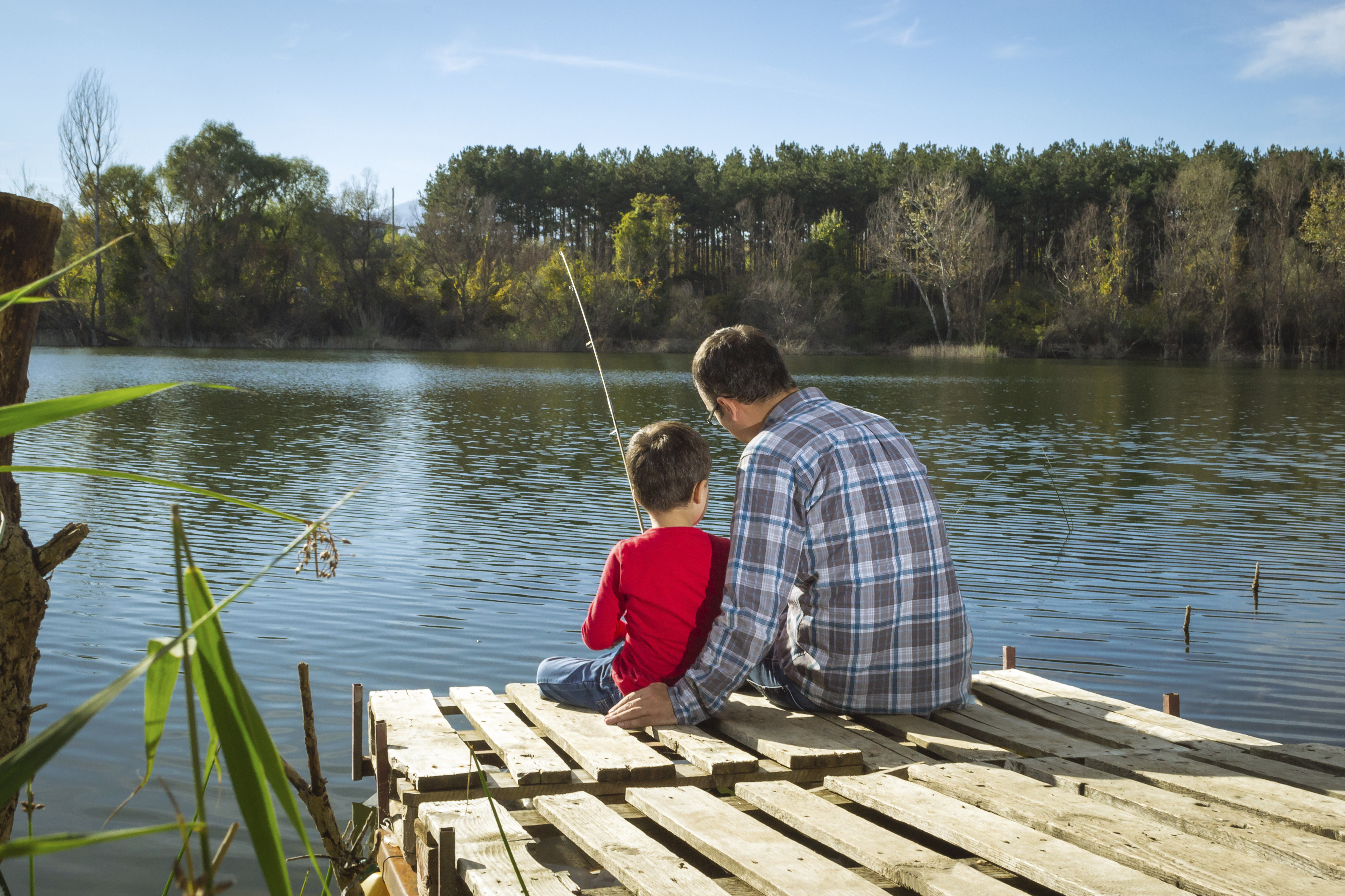 Рыбалка в лесу. Рыбалка летом. Отец и сын на рыбалке. Рыбалка фото. Семья на рыбалке.